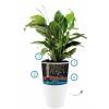 Brussels High All-in-One - D.40cm - Noir - Elho