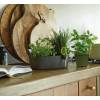 Brussels Herbs Station - Anthracite - Elho