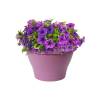 Corsica Wall Basket - D.25 cm - Violet Vif - Elho