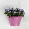 Corsica Wall Basket - D.25 cm - Violet Vif - Elho