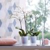 Brussels Orchid High D.12 cm - Anthracite - Elho