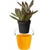 Cache Pot B. for Rock - D.14cm - Ocre - Elho