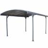 Carport en Polycarbonate DELAGE  2,9 x 5 m