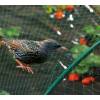 Filet anti oiseaux pour potager - 2 x 5 mtres