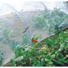 Filet anti-insectes pour potager  2,2 x 10 m