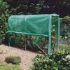 Serre Tunnel Spciale Tomates - 3 m - Nortene