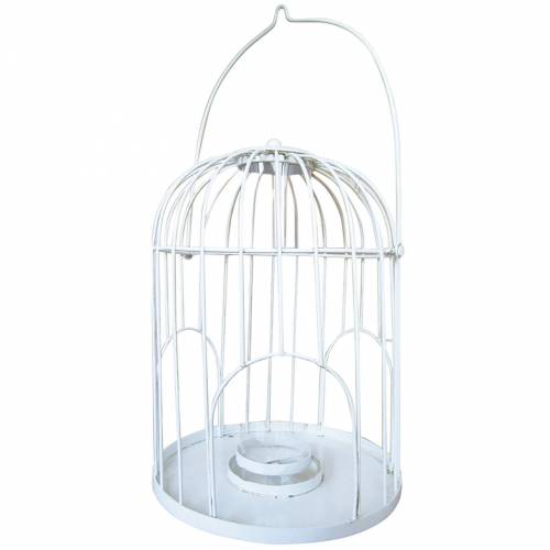 Mangeoire Cage à Oiseaux Caillard Vente Mangeoire Cage à