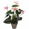Plante Artificielle - Anthurium Rose - MICA