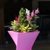 Pot Design - 55x55 x H100cm  Fuchsia