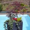 Jardinire Auriga - 50 x 50 x H100cm - Anthracite