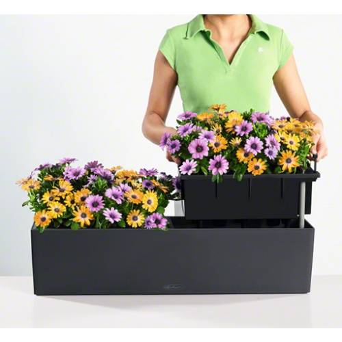 Lechuza Balconera erkélyláda tartó - Online Shop