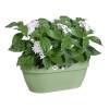 Pot Mural Vibia Campana - 35 cm-Vert Pistache-Elho