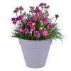 Loft Urban Round  D.40 H.35  Lavande Lilas Elho