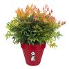 Loft Urban Round  D.50 H.44  Fruits Rouges Elho