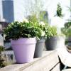 Loft Urban Round  D.50 H.44  Citron Vert  Elho
