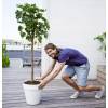 Loft Urban Round  D.50 H.44  Citron Vert  Elho