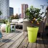 Loft Urban Round High  D.35 H.45  Cerise