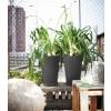 Loft Urban Round High  D.35 H.45  Cerise