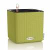 CUBE Color 14 cm - Citron Vert - LECHUZA