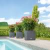 CUBE LS Color 35 - Anthracite - LECHUZA