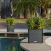 CUBE LS Color 35 - Anthracite - LECHUZA
