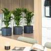 CUBE LS Color 35 - Anthracite - LECHUZA