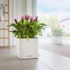 CUBE LS Color 35 - Blanc - LECHUZA