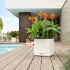 CUBE LS Color 35 - Blanc - LECHUZA