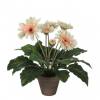 Plante Artificielle - Gerbera Crme - MICA