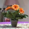 Plante Artificielle - Gerbera Orange - MICA