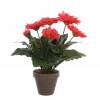 Plante Artificielle - Gerbera Rose - MICA