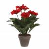 Plante Artificielle - Gerbera Rouge - MICA