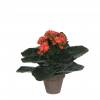 Plante Artificielle - Kalanchoe Orange - MICA