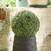 Plante Artificielle - Buis Boule - MICA