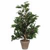 Plante Artificielle - Ficus exotica - MICA