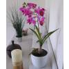 Plante Artificielle - Orchid�e bambou Violet -MICA