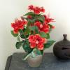 Plante Artificielle - Hibiscus Rouge - MICA