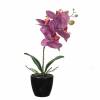 Plante Artificielle - Phalaenopsis Violet - MICA