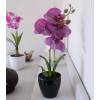 Plante Artificielle - Phalaenopsis Violet - MICA