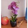 Plante Artificielle - Phalaenopsis Violet - MICA