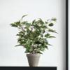 Plante Artificielle - Ficus Natasia - MICA