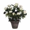 Plante Artificielle - Rosier Blanc - MICA