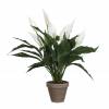 Plante Artificielle - Spathiphyllum Blanc - MICA