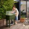 Potager sur pied NOA - Vert mousse - Elho