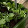 Potager sur pied NOA - Vert mousse - Elho