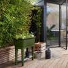 Potager sur pied NOA - Vert mousse - Elho