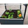 Growcamp - Potager surlev - Module Basic 50 AIR