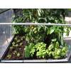 Growcamp - Jardinire galvanise 50 L