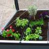 Growcamp - Jardinire galvanise 80 L