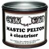 Mastic  Cicatriser